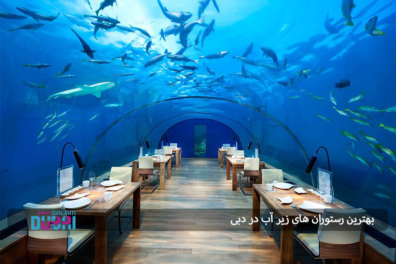 بهترین رستوران های زیر آب در دبی 