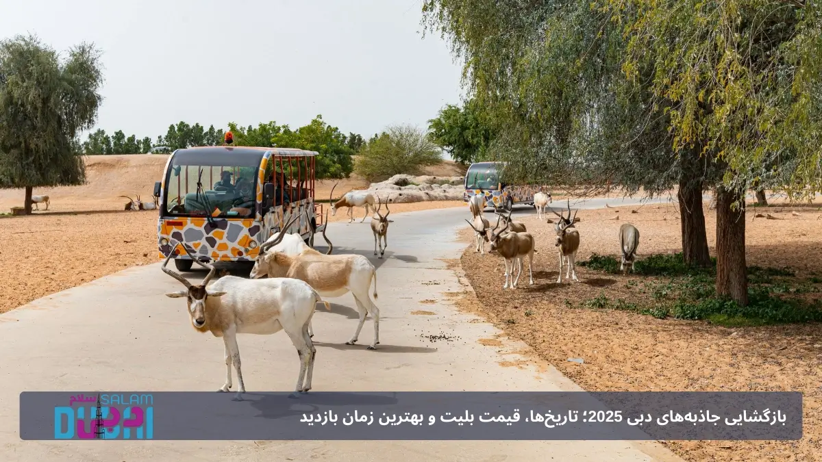 سافاری بیابان؛ چرا در فصل خنک محبوب‌تر است؟